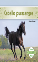 Caballo Purasangre (Thoroughbred Horses)