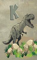 K: Personalized Monogram Initial Notebook/Journal(11 Dinosaur Notebook)