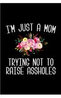 I'm Just a Mom Trying Not to Raise Assholes