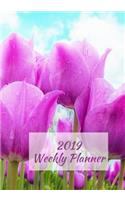 2019 Weekly Planner