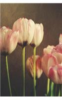 Dutch Tulips