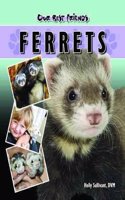 Ferrets