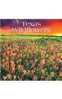 Texas Wildflowers 2021 Square Foil