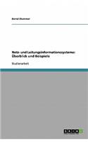 Netz- und Leitungsinformationssysteme: Überblick und Beispiele(German)