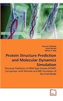 Protein Structure Prediction and Molecular Dynamics Simulation