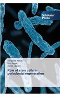 Role of stem cells in periodontal regeneration