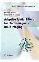 Adaptive Spatial Filters for Electromagnetic Brain Imaging