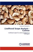Livelihood Scope Analysis - Cashew