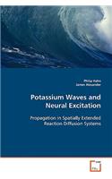 Potassium Waves and Neural Excitation