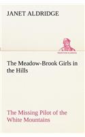 Meadow-Brook Girls in the Hills The Missing Pilot of the White Mountains