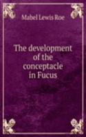 development of the conceptacle in Fucus