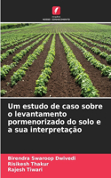 Um estudo de caso sobre o levantamento pormenorizado do solo e a sua interpretação