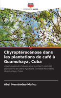 Chyroptérocénose dans les plantations de café à Guamuhaya, Cuba