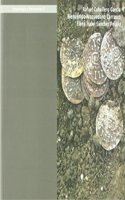 El oro de los visigodos: tesoros numismaticos de la Vega Baja de Toledo