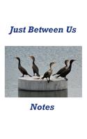 Just Between Us Notes
