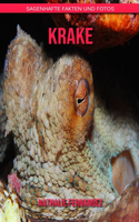 Krake: Sagenhafte Fakten und Fotos