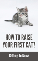 How To Raise Your First Cat?