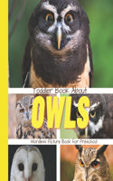 Toddler Book About Owls