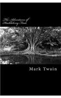 Adventures of Huckleberry Finn