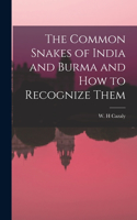 Common Snakes of India and Burma and How to Recognize Them