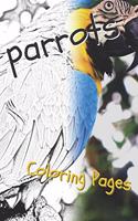 Parrot Coloring Pages: Beautiful Parrots Drawings for Kids and for Adults Relaxation