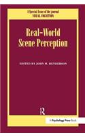 Real World Scene Perception