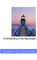 A Commentary on the Holy Gospels