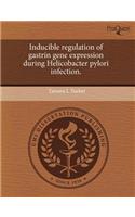 Inducible Regulation of Gastrin Gene Expression During Helicobacter Pylori Infection