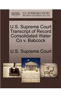 U.S. Supreme Court Transcript of Record Consolidated Water Co V. Babcock