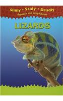 Lizards