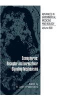 Semaphorins: Receptor and Intracellular Signaling Mechanisms