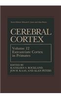 Cerebral Cortex