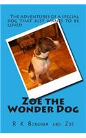 Zoe the Wonder Dog