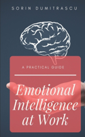 Emotional Intelligence at Work: A Practical Guide