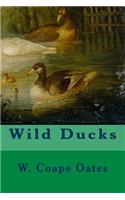 Wild Ducks