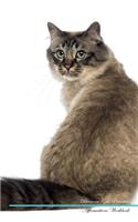 Birman Cat Affirmations Workbook Birman Cat Presents: Positive and Loving Affirmations Workbook. Includes: Mentoring Questions, Guidance, Supporting You.