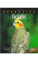 The Essential Cockatiel