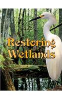Restoring Wetlands