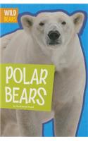 Polar Bears