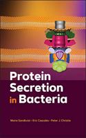 Protein Secretion in Bacteria