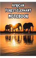 African Forest Elephant notebook: Blank Lined Gift notebook For African forest elephant baby lovers