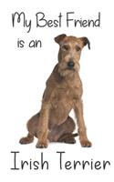 My best Friend is an Irish terrier