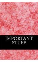 Important Stuff: A Lined Notebook for Your Everyday Needs!