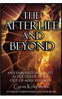Afterlife and Beyond