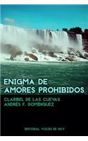 Enigma de amores prohibidos