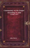 Commentary on the Gospel According to John