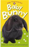 Bright Baby Touch and Feel Baby Bunny