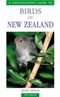 Photographic Guide To Birds Of New Zealand