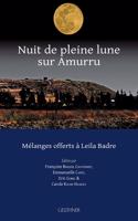 Nuit de Pleine Lune Sur Amurru