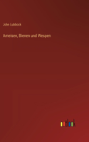 Ameisen, Bienen und Wespen